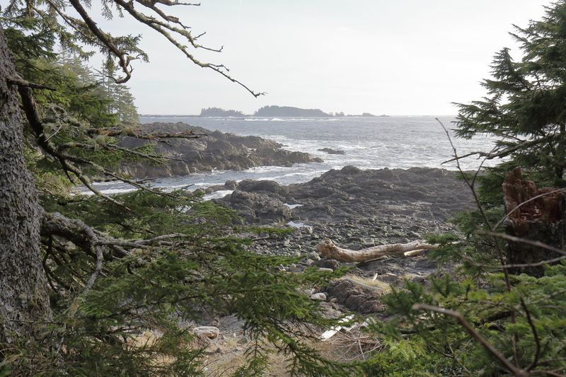 Illustration for article titled Trip Recap: 2017-12-09 on the Pacific Rim Highway to the Wild Pacific Trail